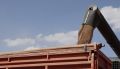 Кубань ввела режим ЧС из-за проблем с вывозом зерна