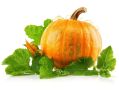 Как правильно выбрать вкусную и полезную тыкву: советы Роспотребнадзора