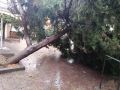 Ликвидация последствий вчерашней непогоды продолжается