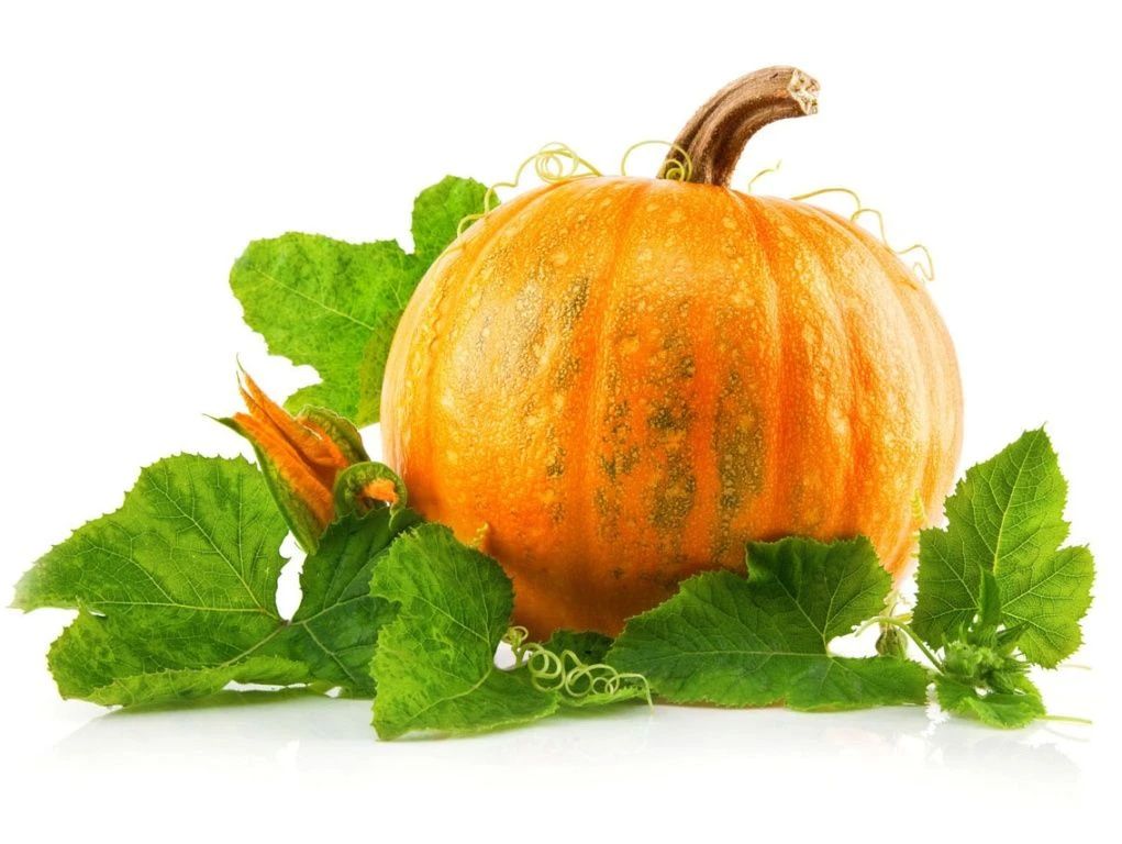 Как правильно выбрать вкусную и полезную тыкву: советы Роспотребнадзора