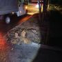 За сутки службы приняли 324 обращения от севастопольцев