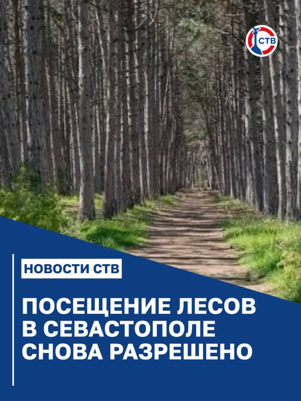 Севастопольские леса снова открыты для прогулок
