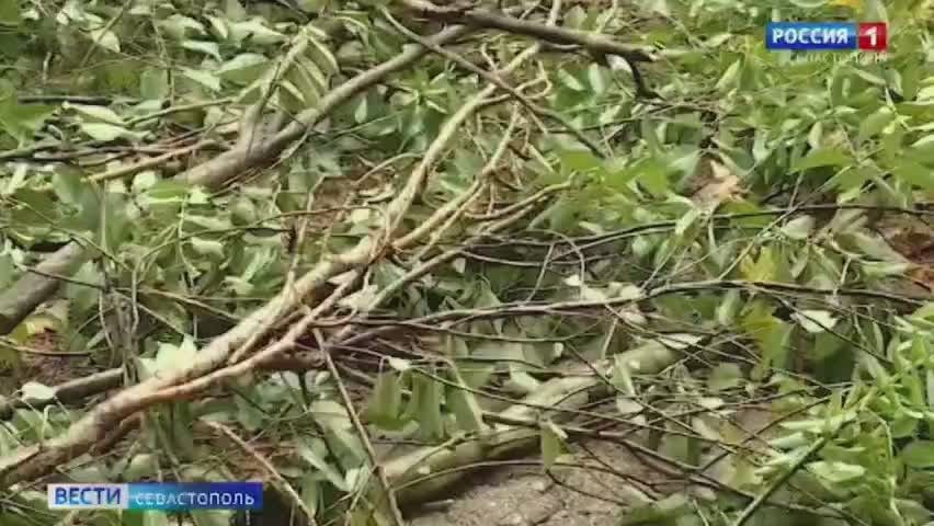 Второй день непогоды вновь осложнил жизнь севастопольцам