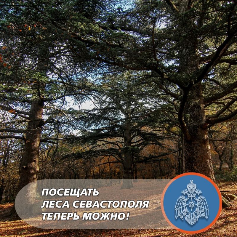 В лес теперь можно!. Запрет на посещение лесов нашего региона отменён 24 сентября