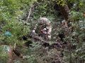 Юбилейная экологическая акция «Вода России» прошла на реке Байдарка