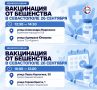 В Гагаринском районе бесплатно вакцинируют домашних животных от бешенства