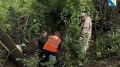 В Севастополе берега реки Байдарка расчистили от мусора