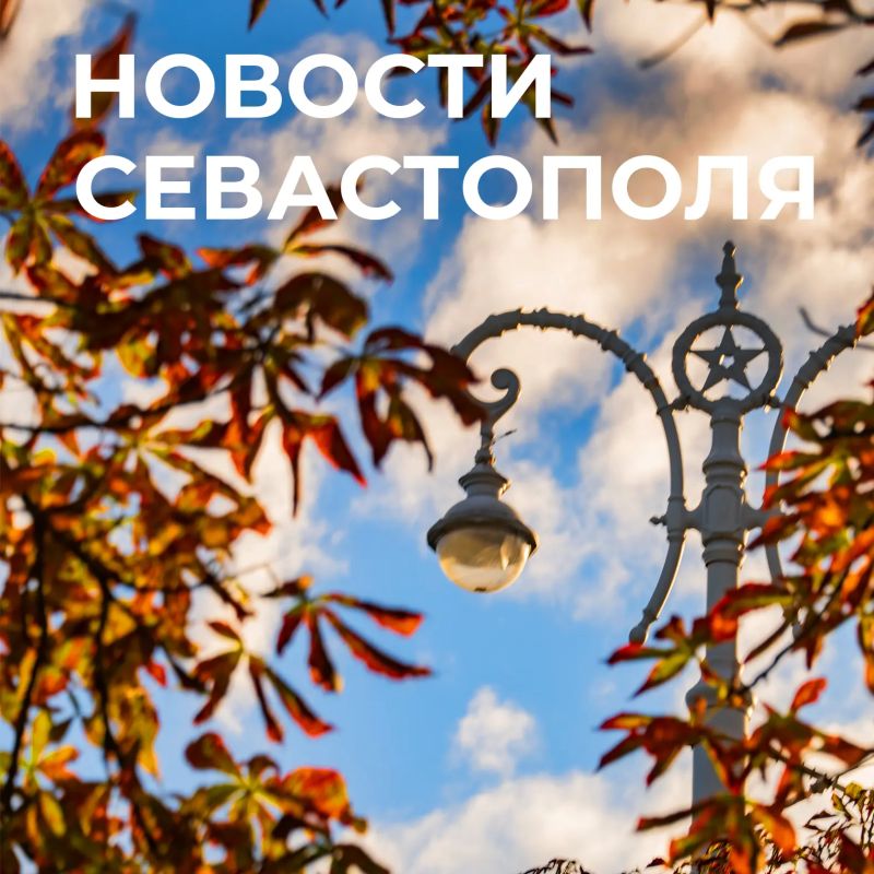 Михаил Развожаев: Коротко о главном:. За минувшие сутки наши военные, ПВО, мобильные огневые группы нейтрализовали пять вражеских беспилотников