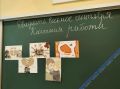 Учителя школы «Экотех+» завоевали награды на всероссийских конкурсах педагогического мастерства