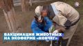 Непогода продолжается – расскажем когда вернётся солнце