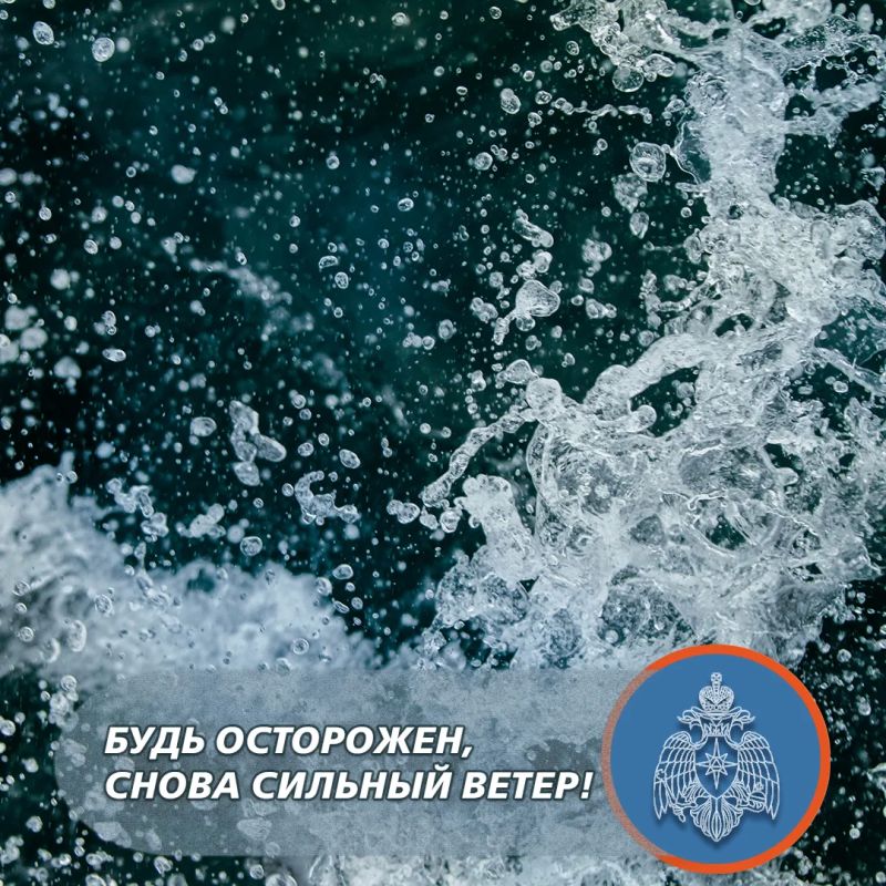 Сильный ветер ожидается в Севастополе и завтра!