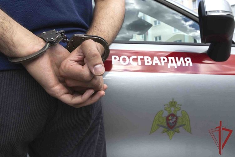 Росгвардейцы в Крыму и Севастополе за неделю пресекли ряд правонарушений