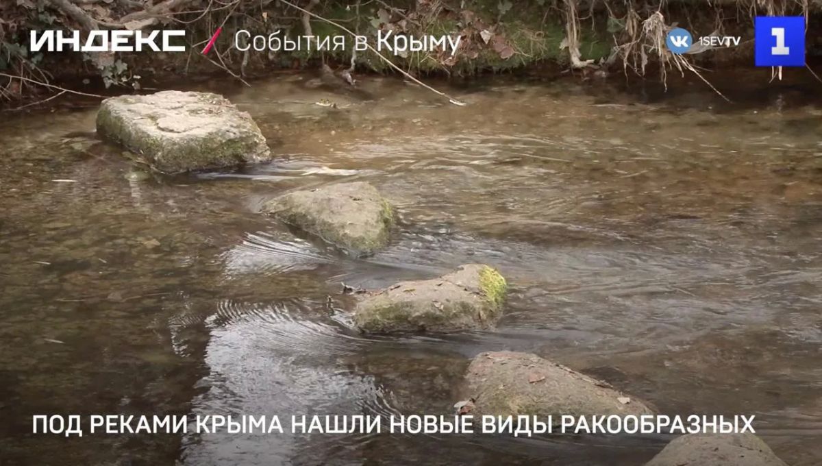 Под руслами крымских рек нашли новые виды ракообразных