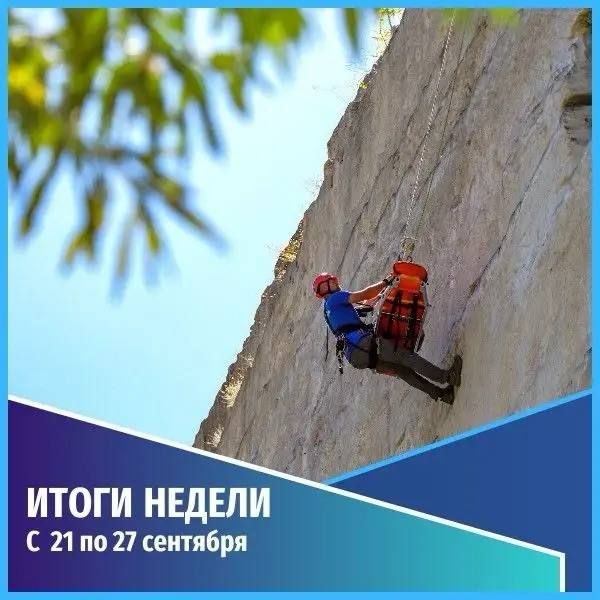 Общественная безопасность
