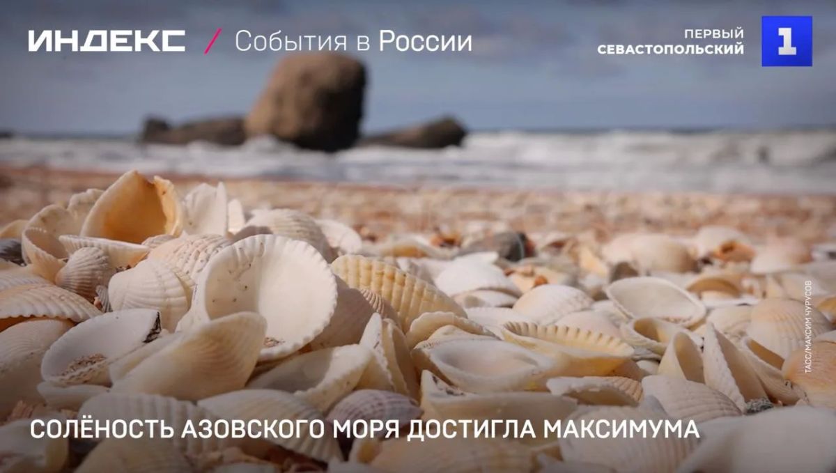 Солёность Азовского моря достигла максимума
