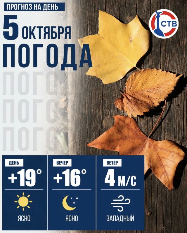 Сегодня в Севастополе ожидается теплая и солнечная погода