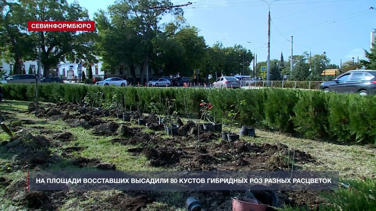 Более 600 кустов роз высадят в городе в октябре — весной они зацветут