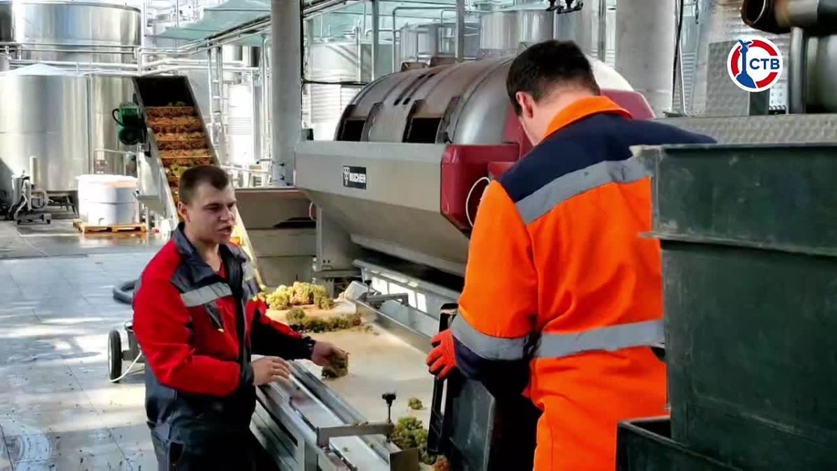 Молодые специалисты АПК в Севастополе получают выплаты до 250 тысяч рублей