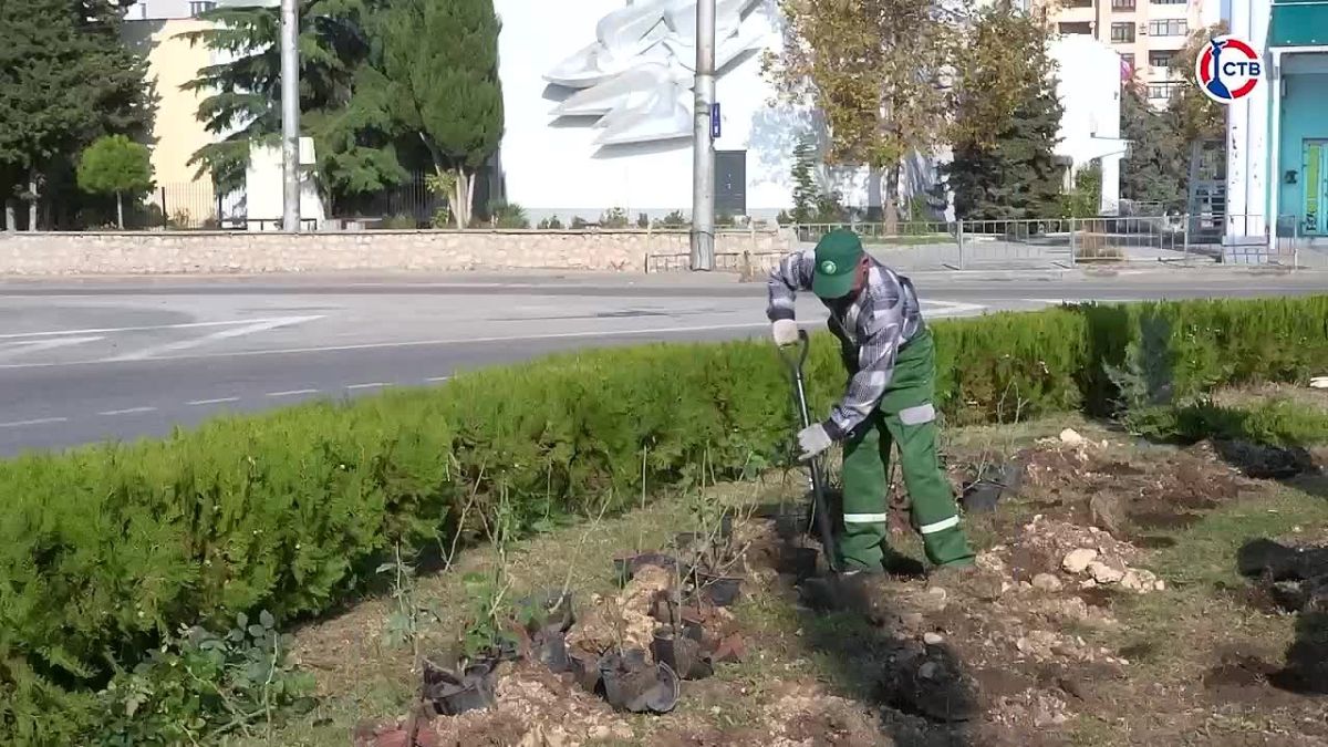 Легко ли решиться на покупку недвижимости в ипотеку и как могут измениться условия приобретения жилья? Вклад в бизнес от государства — узнаем, как с помощью социального контракта севастопольцы развивают своё дело