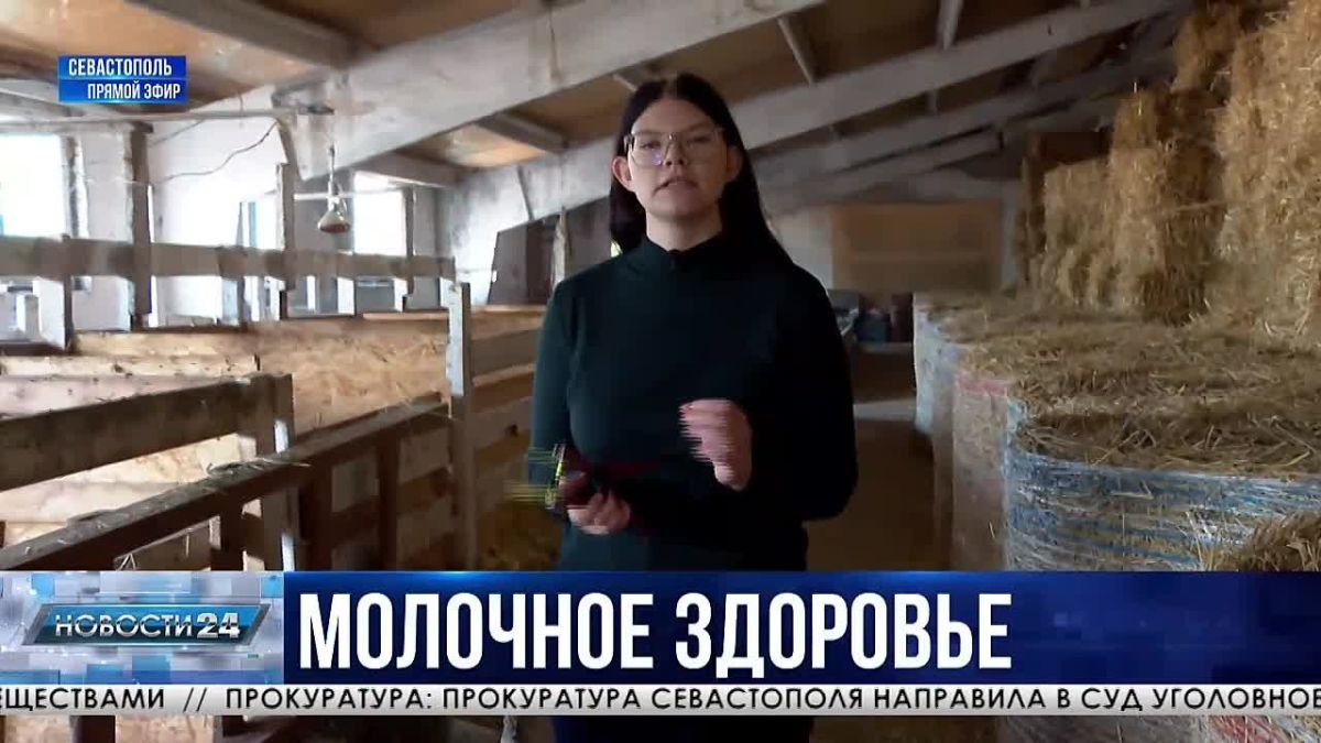 Профилактика, без которой не обойтись