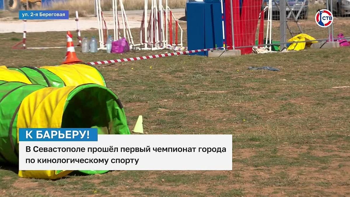 В Севастополе прошел первый чемпионат города по кинологическому спорту В соревнованиях участвовали более 20 человек и их четвероногие питомцы