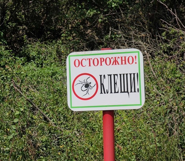 На полуострове зарегистрировали 64 случая клещевого боррелиоза