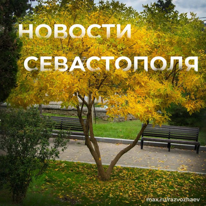 Михаил Развожаев: Коротко о главном:. Семейная столица