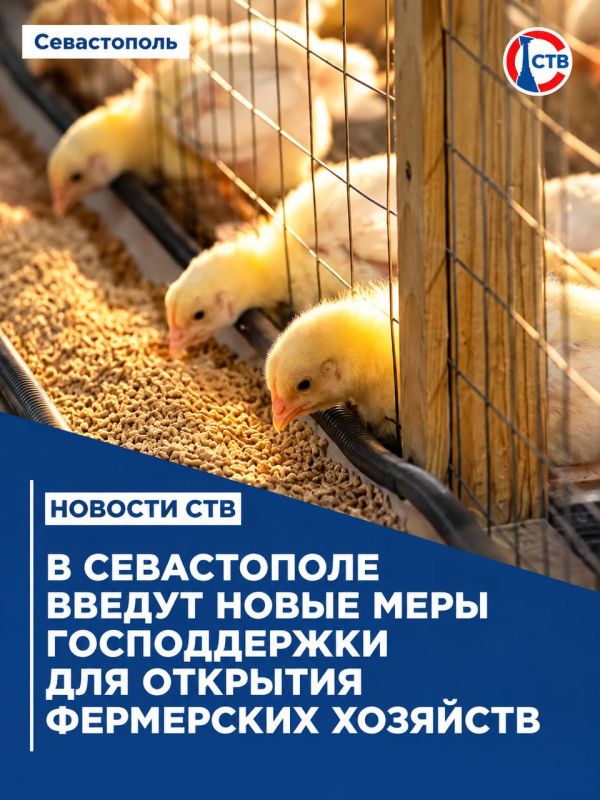 В Севастополе выделили 8,5 млн рублей на развитие фермерских хозяйств