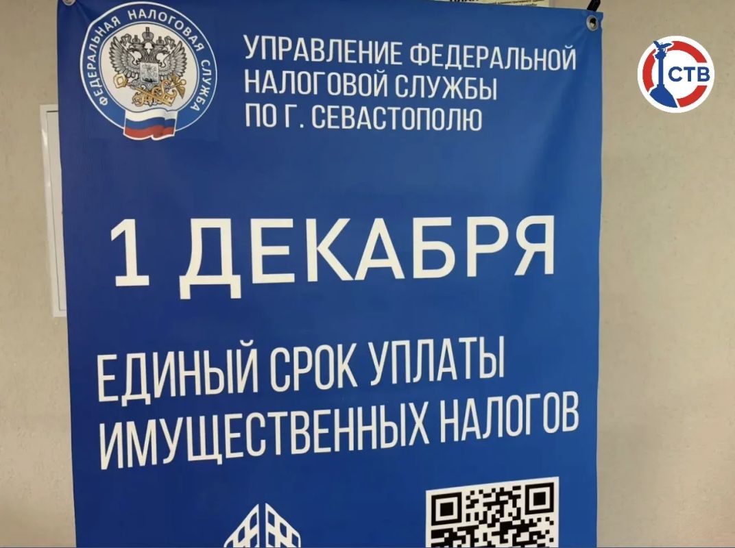 Севастопольцы впервые получили налоговые уведомления на «Госуслугах» без подачи заявления