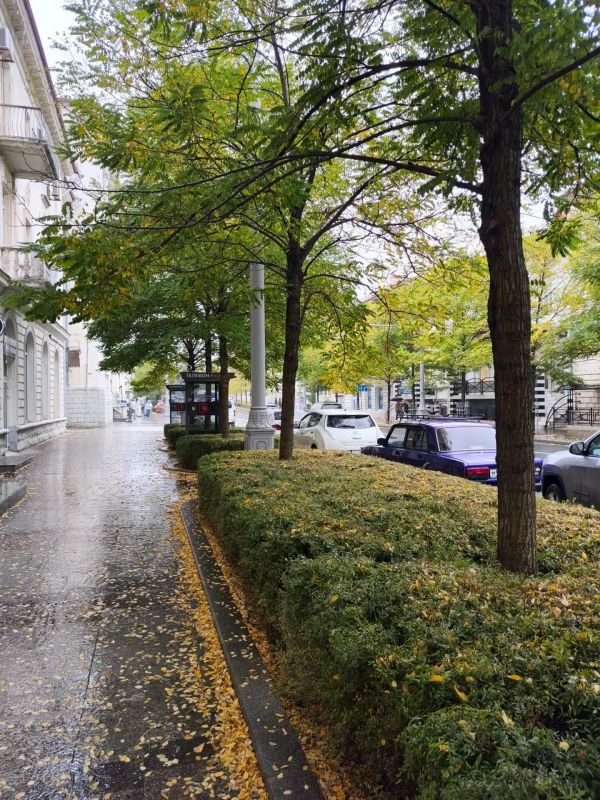 Завтра в Севастополе пасмурно, возможен дождь