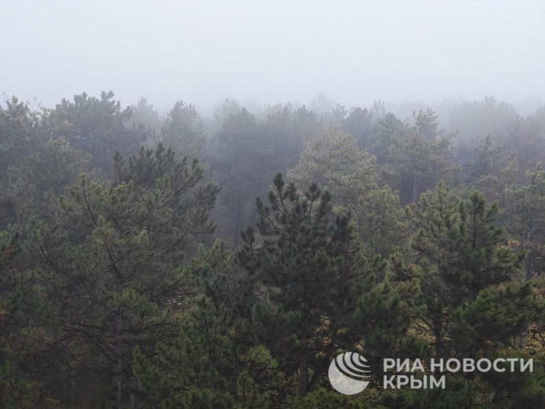 Прогноз погоды в Крыму на понедельник