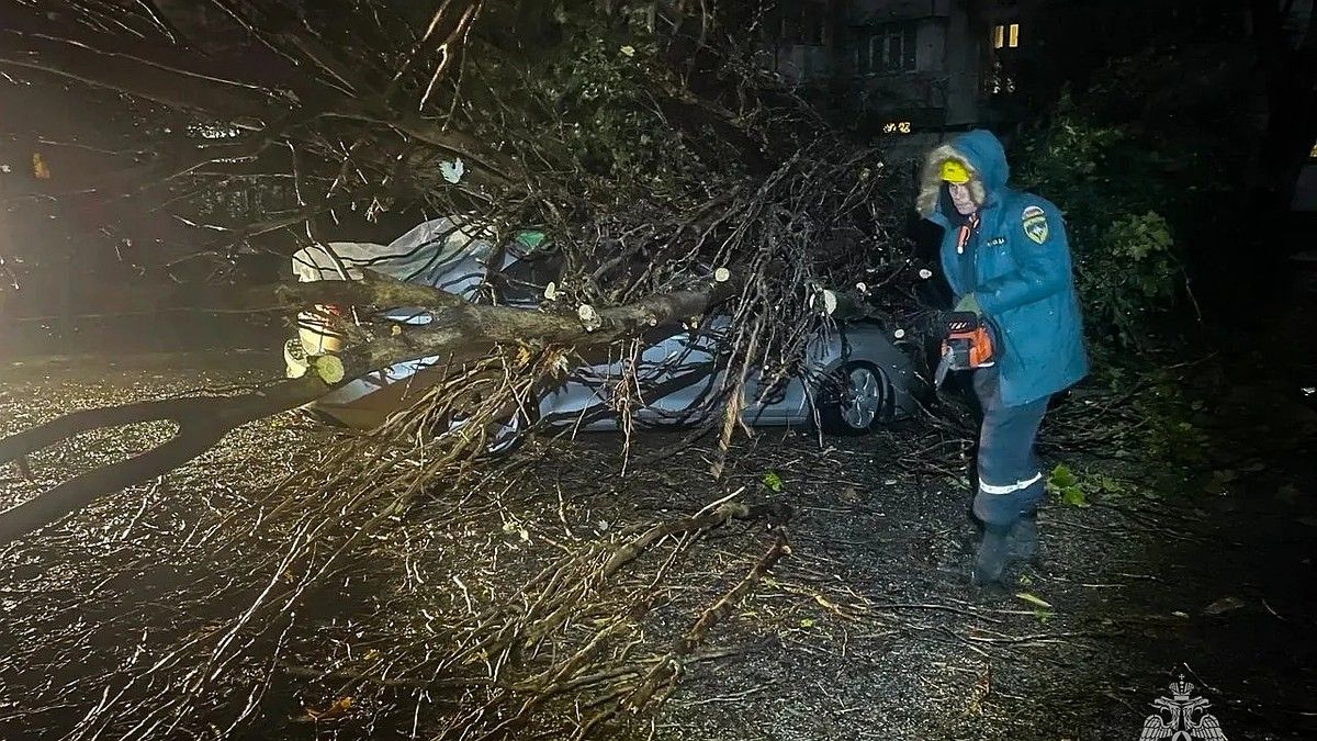 В Севастополе ликвидируют последствия непогоды