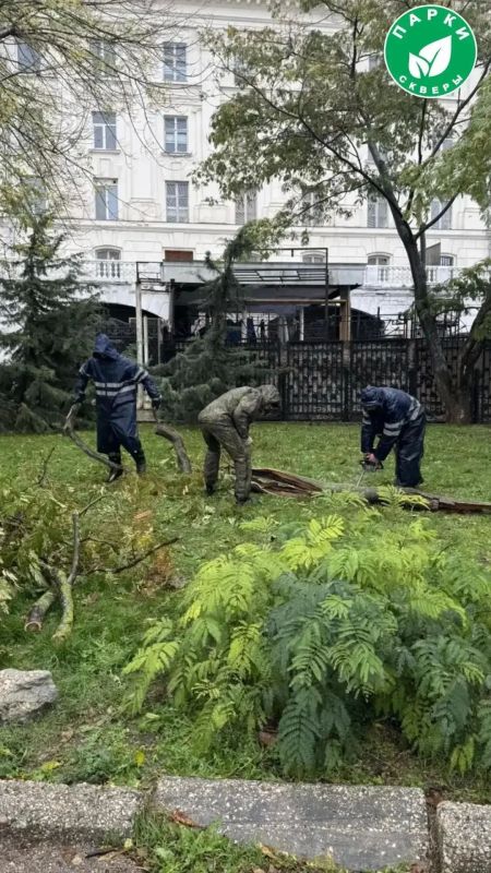 «Парки и скверы» устраняют последствия непогоды в Севастополе