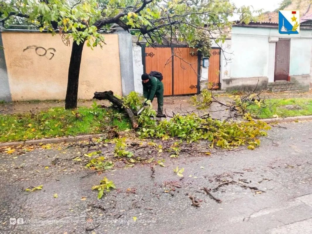 В Севастополе принято 1 012 обращений из-за непогоды – Правительство города