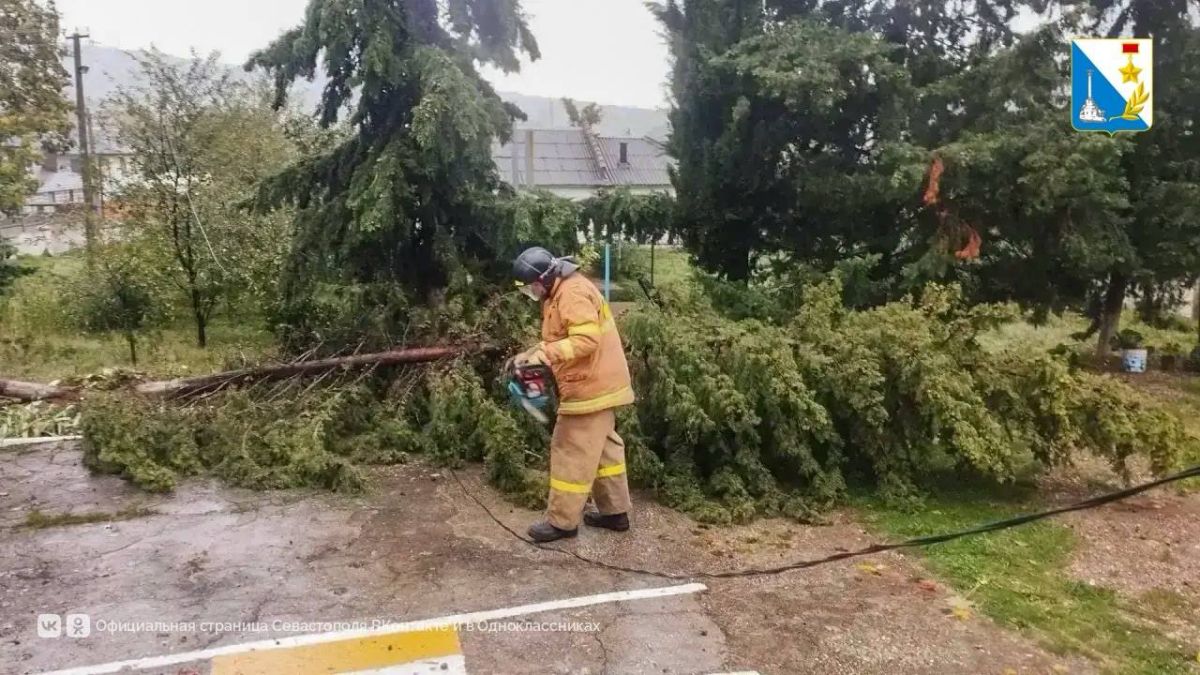 В Севастополе принято 1 012 обращений из-за непогоды