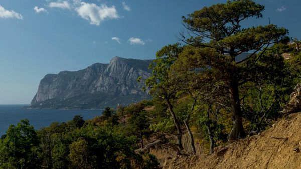 Новости Крыма - главное на утро 21 октября