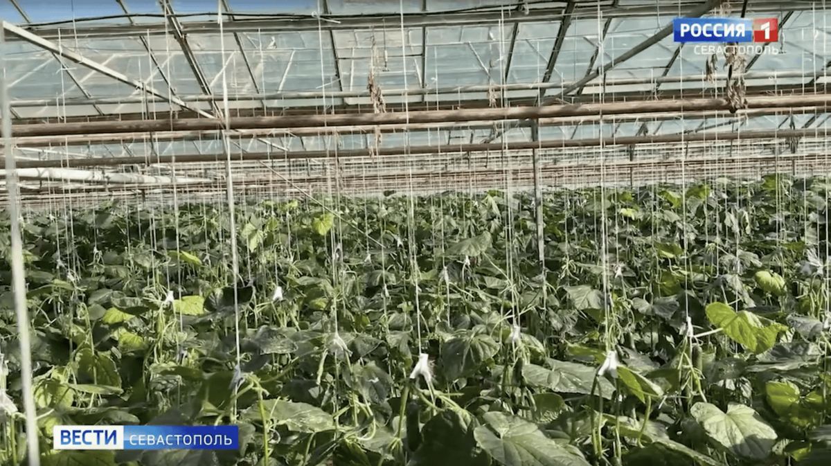 Вести Утро. 23 октября 2026 года