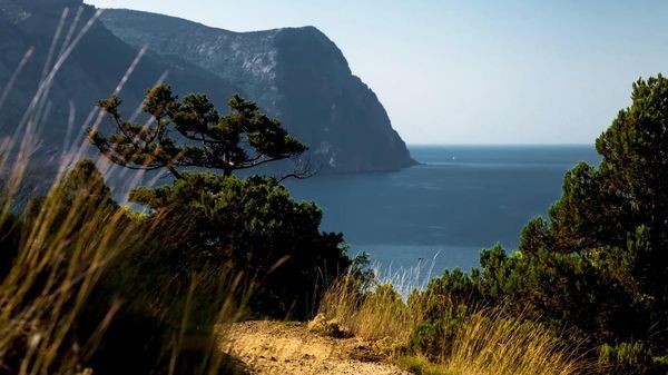 Новости Крыма: главное на утро 23 октября