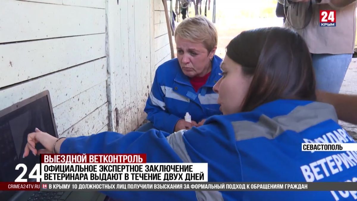 Возможности ветеринарной помощи животным расширили в Севастополе