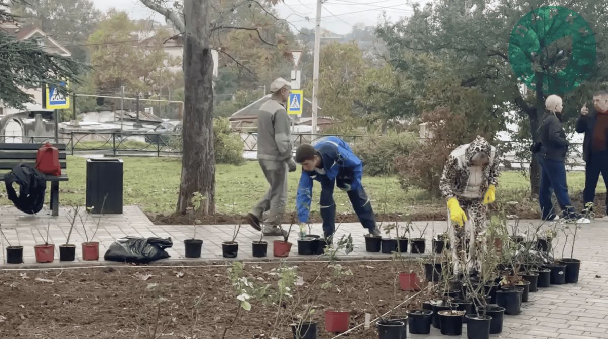В парке имени Анны Ахматовой и сквере Генерала Жидилова оформили зелёные зоны