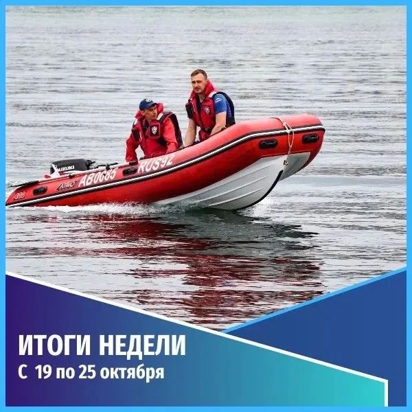 Общественная безопасность
