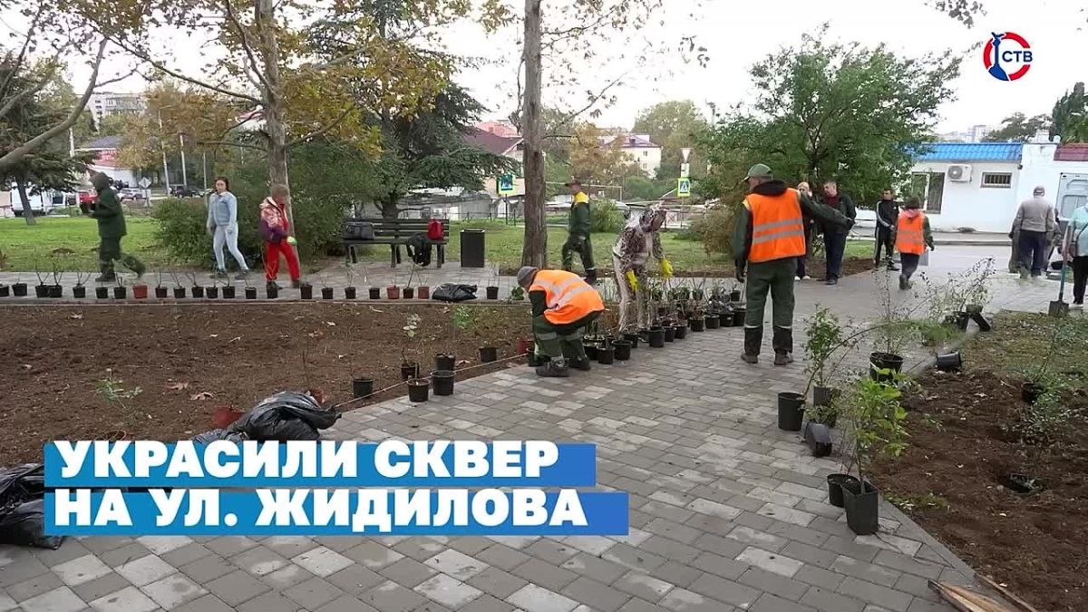 Стабилизация энергоснабжения, начало отопительного сезона и школьные каникулы – собрали главные итоги аппаратного совещания в правительстве Севастополя