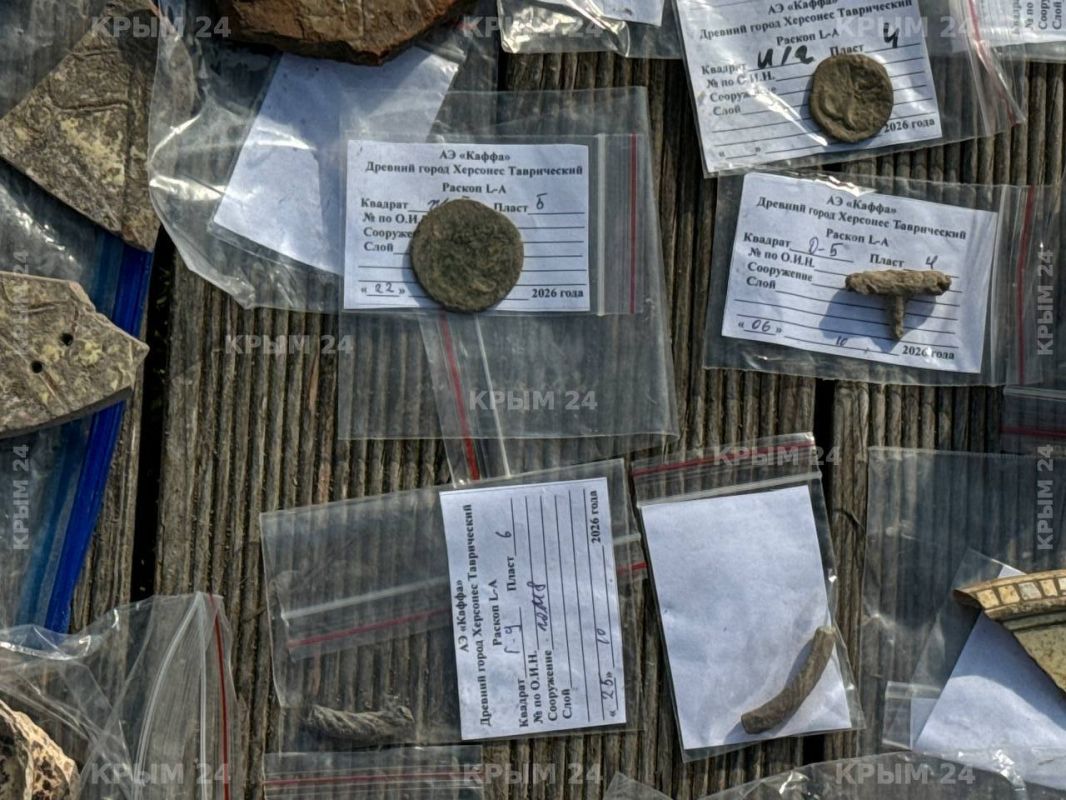 В Херсонесе Таврическом археологи нашли более 8 тысяч артефактов