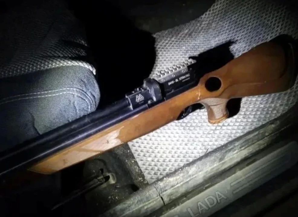Житель Севастополя убил зайца и вальдшнепа и лишился пневматической винтовки