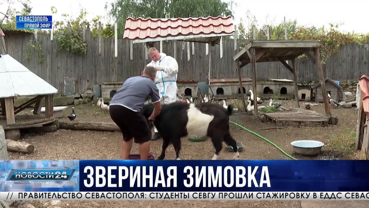 Экопарки и фермы Севастополя готовят своих подопечных к устойчивому наступлению холодов