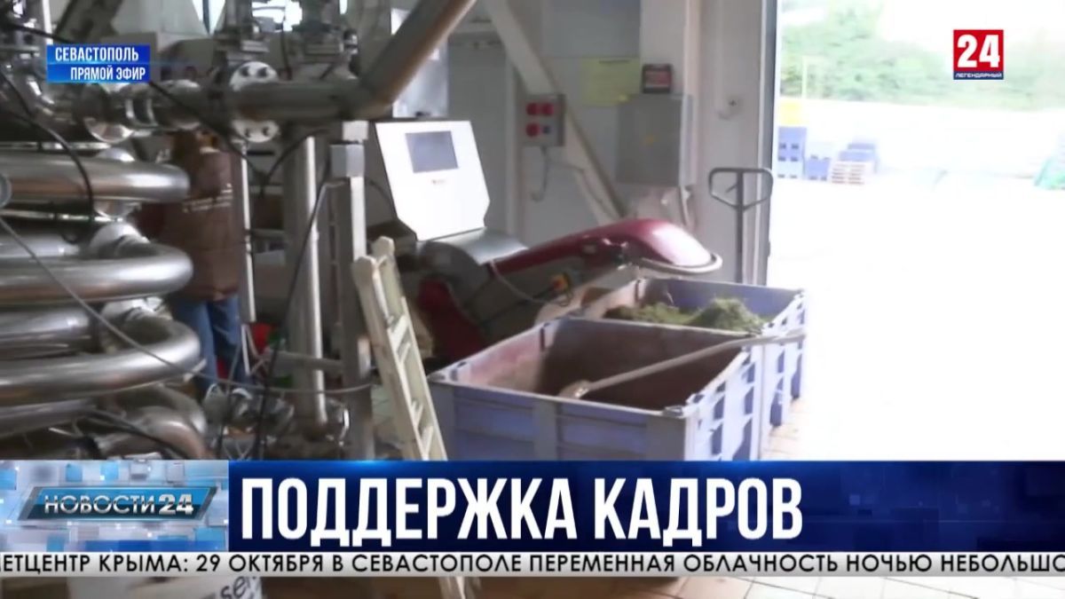 10 виноградарей Севастополя получили выплату от государства в этом году