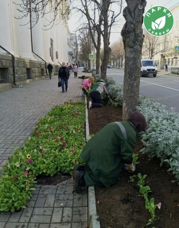 На улице Ленина высаживают две тысячи анютиных глазок