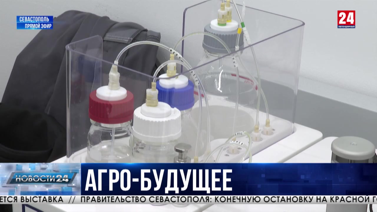 Учёные Севастополя разработали удобрение, способное удерживать влагу в почве три года