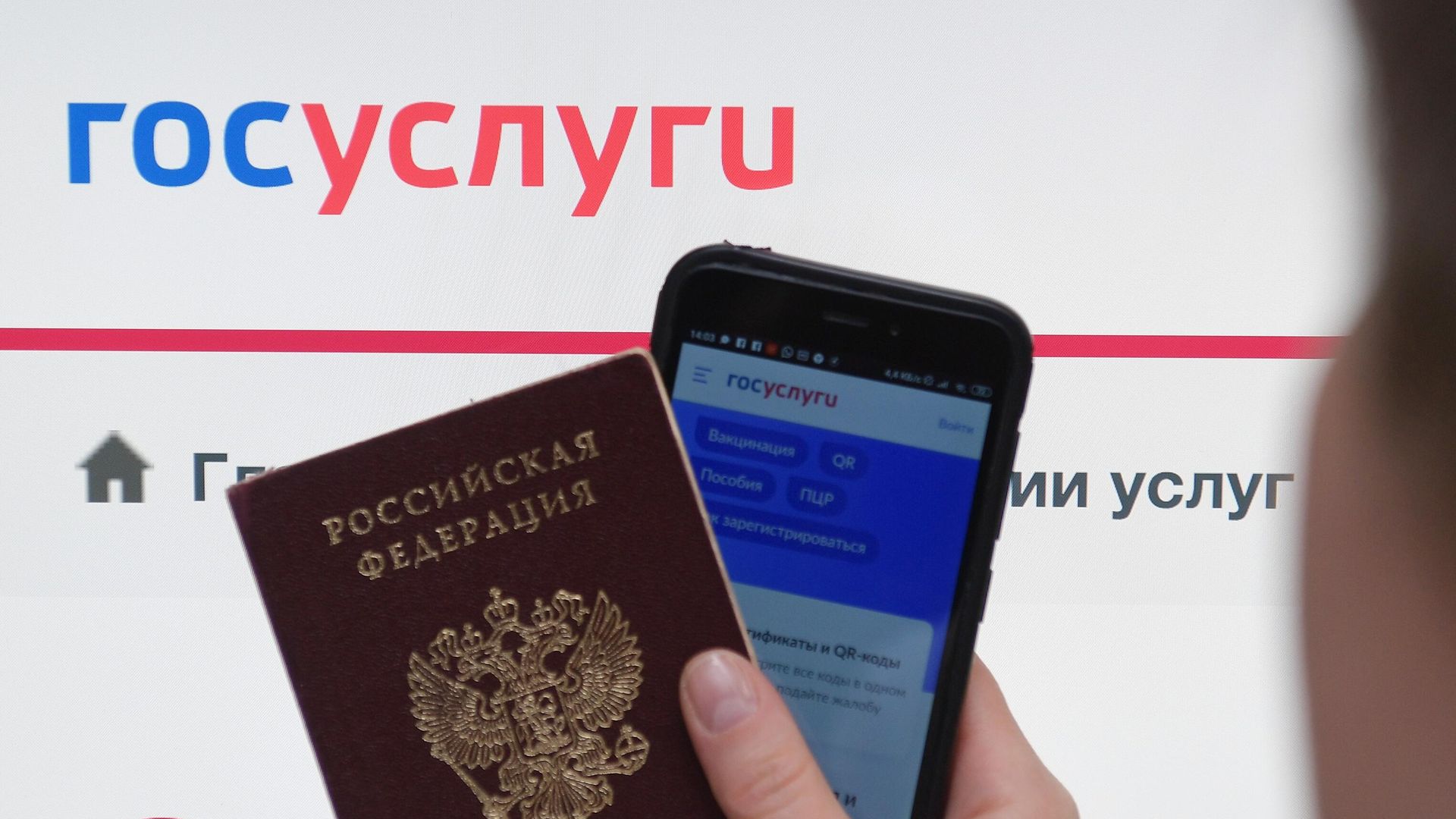 Заявки на маткапитал в Севастополе подали более 3000 человек с начала года