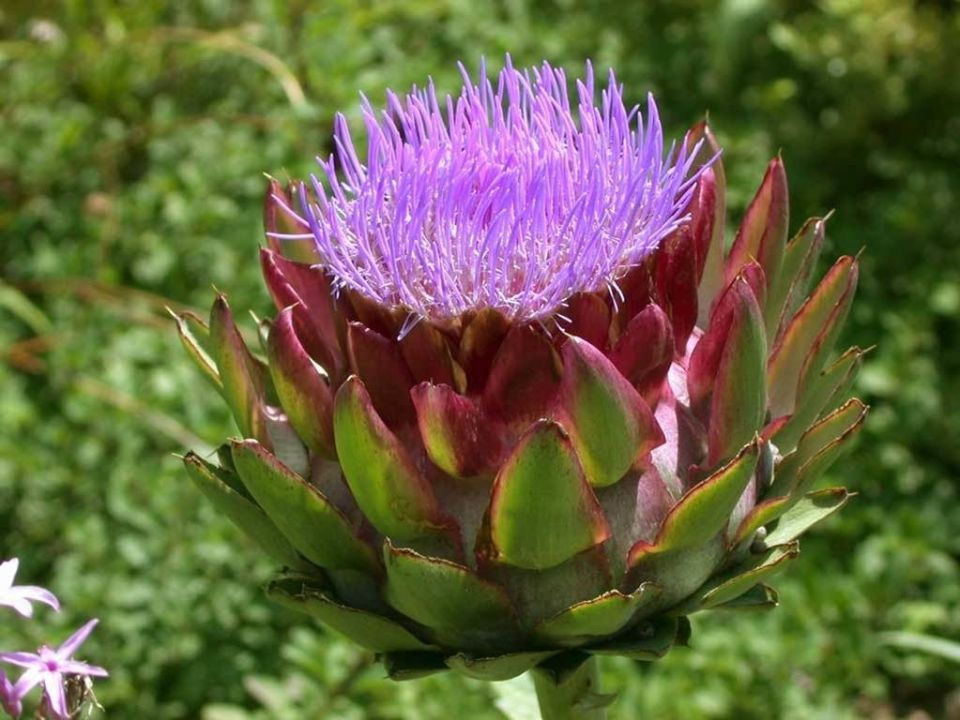 �������: ����� ������, ������ ������ � ����������